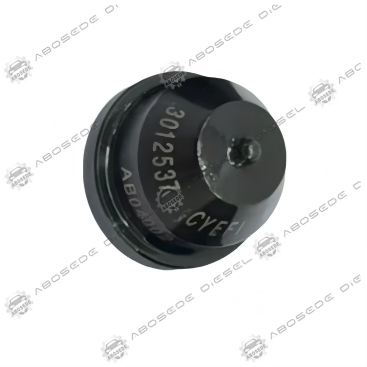 3012537 Vòi phun CYEFI - Cốc phun OEM cho hệ thống PT và đường ray thông thường Diesel